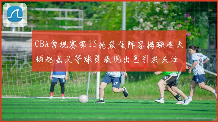 CBA常规赛第15轮最佳阵容揭晓洛夫顿赵嘉义等球员表现出色引发关注